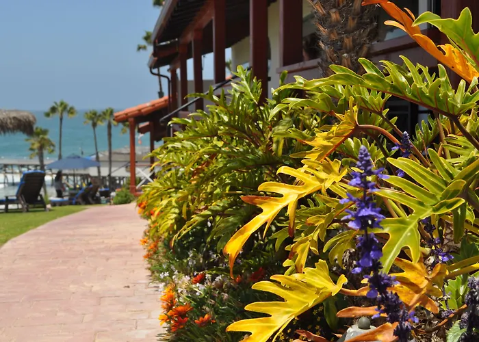 Beachcomber Inn